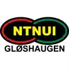 尼堤努